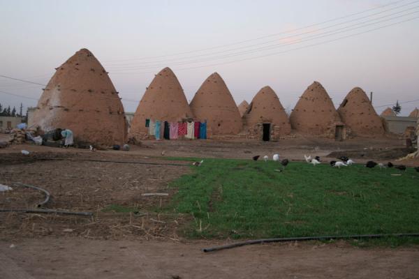 http://www.traveladventures.org/continents/asia/images/beehive-houses11.jpg