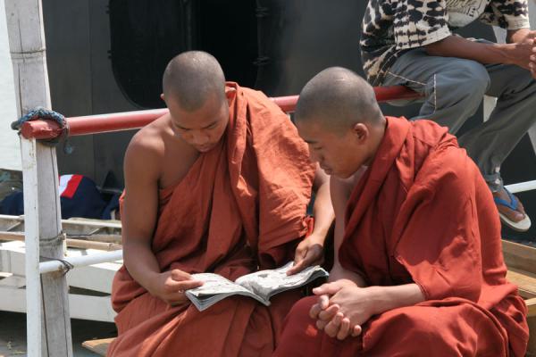 Buddhist Monks Pictures