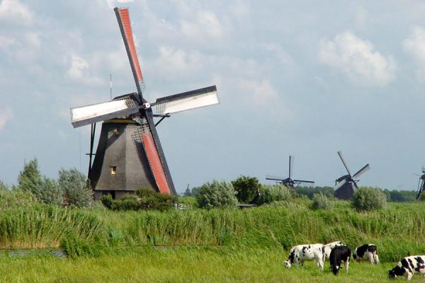 Kinderdijk Windmills Holland