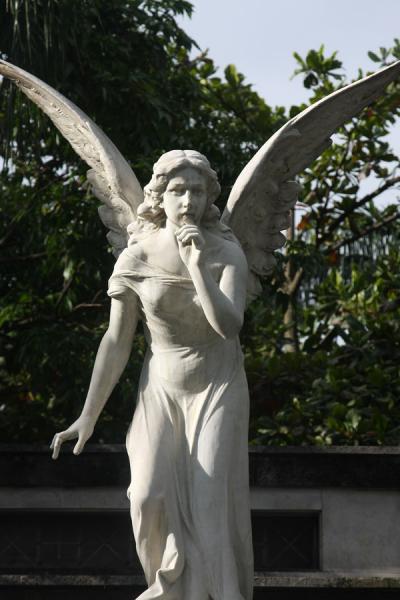 Statue of angel at San Pedro Cemetery