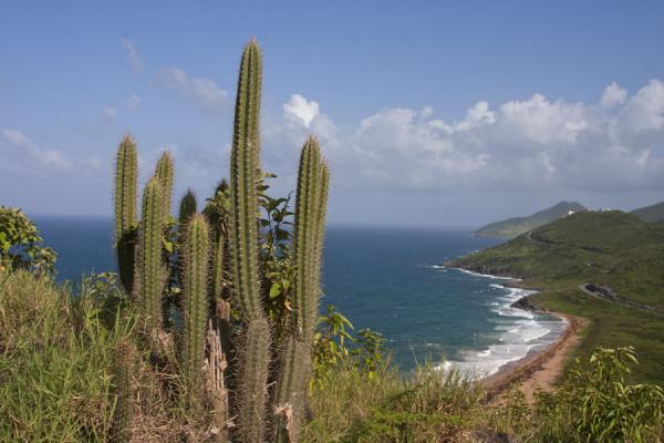 [http://www.traveladventures.org/continents/southamerica/images/st-kitts-southeast-peninsula04.jpg]