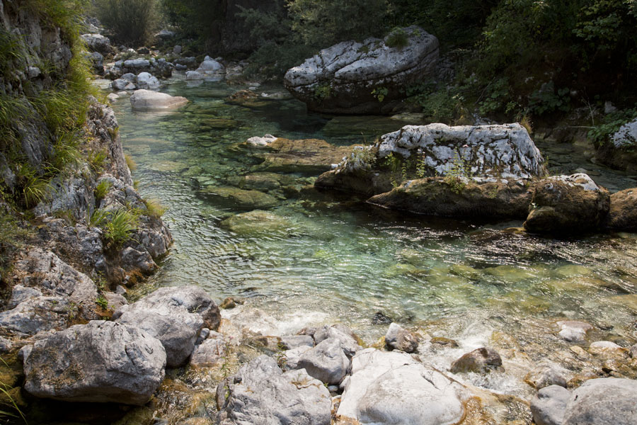 Picture of One of the extremely clear water rivers, subsidiary of the Theth riverTheth - Albania