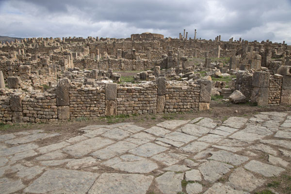 The Christian quarter seen from the Cardo Maximus | Djemila | Algérie
