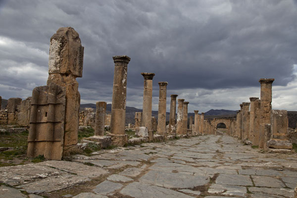 Picture of Djemila (Algeria): View of Cardo Maximus towards the north