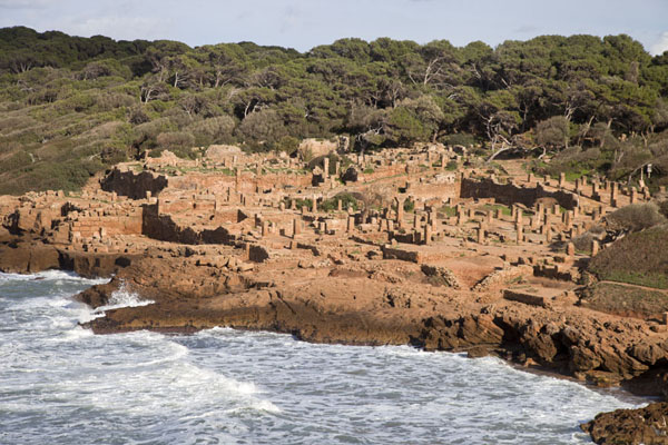 Picture of Tipaza (Algeria): Waves crashing on the rocky coast at Tipaza near the Villa of Frescoes