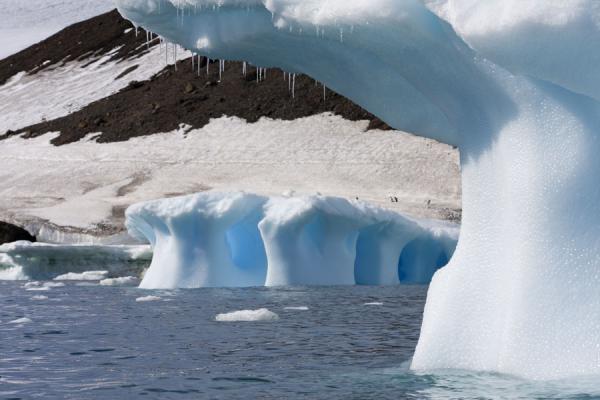Icebergs floating off the coast at Brown Bluff | Brown Bluff | Antarctique