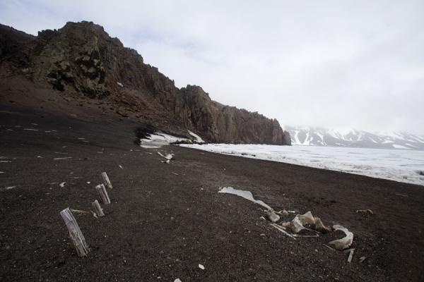 Picture of Deception Island (Antarctica): Whale bones and ice in the caldera of Deception Island