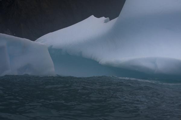 Close-up of iceberg floating in the bay at Point Wild | Point Wild | Antarctique