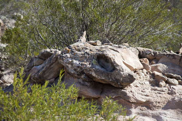 Picture of Many rock formations have nicknames: meet the Anaconda