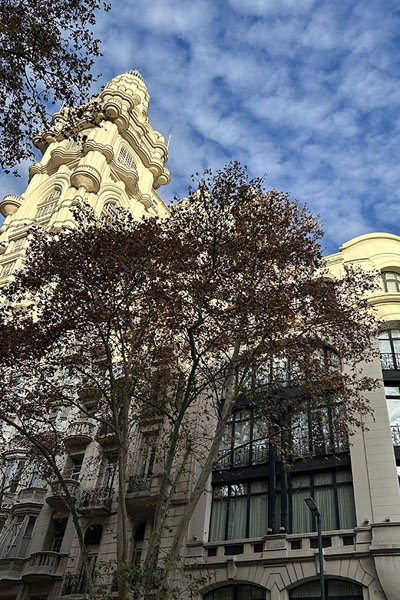 Photo de Looking up Palacio Barolo from Avenida de MayoPalacio Barolo - l'Argentine