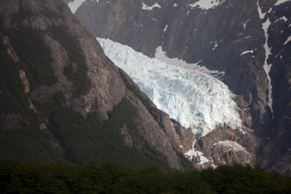 Picture of Parque Nacional Glaciares (Argentina): Piedras Blancas glacier coming down from the mountains