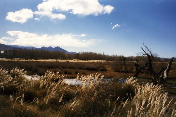 Picture of Argentinian landscape between Uspallata and the Andes mountains