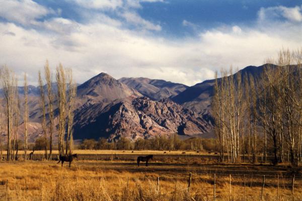 Picture of Landscape between Uspallata and Andes