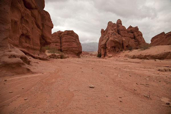 Picture of Red rock formations at the beginning of the Quebrada de las Conchas - Argentina - Americas