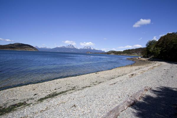 Picture of Tierra del Fuego National Park (Argentina): Stretch of beach in the Tierra del Fuego National Park