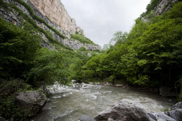 Foto de Trees around wild Karkar river in a narrow section of the canyon - Armenia - Asia
