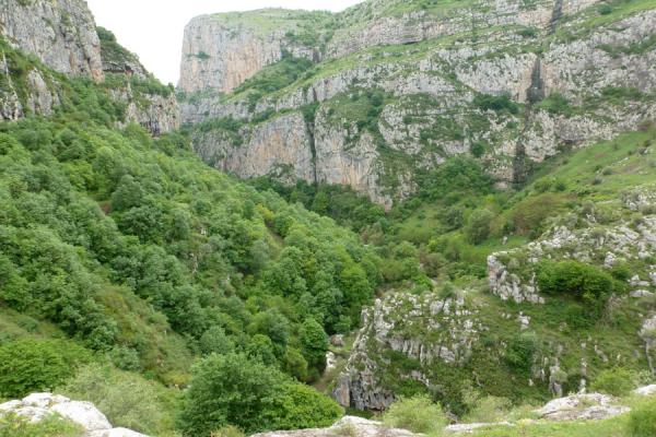 Foto de High walls on both sides of Karkar gorgeKarkar gorge hike - Armenia