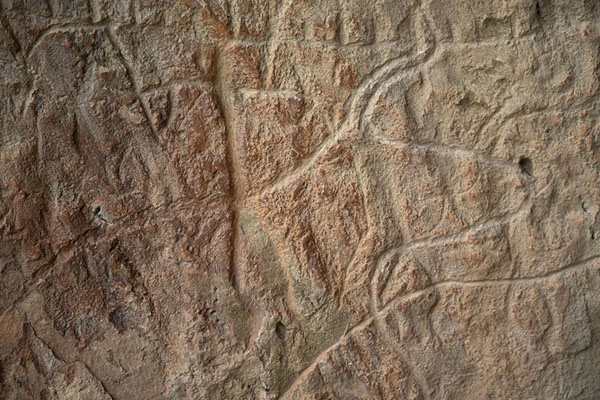 Head of a bull represented in a petroglyph | Gobustan petrogliefen | Azerbeidjan