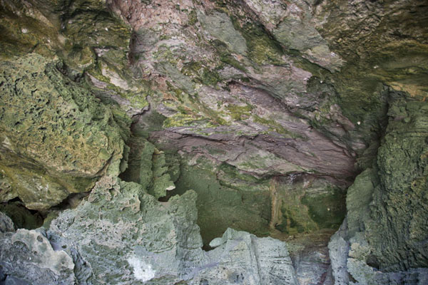 Foto van Green shade covering the rocks inside Preachers CavePreacher's Cave - Bahamas