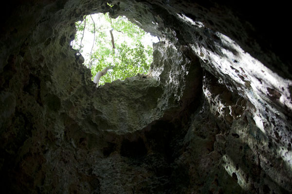 Foto de Looking up one of the holes in the ceiling of Preachers CavePreacher's Cave - Bahamas