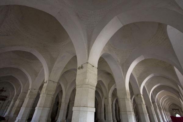 Pillars inside the Shait Gumbad Mosque | Bagerhat mosques | Bangladesh