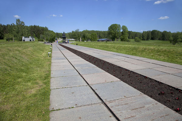 Picture of The path leading down to the open area in the woods where Khatyn was located (Khatyn, Belarus)