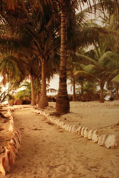 Foto van Path on one of the keysDangriga - Belize