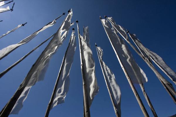 Picture of Bhutanese prayer flags