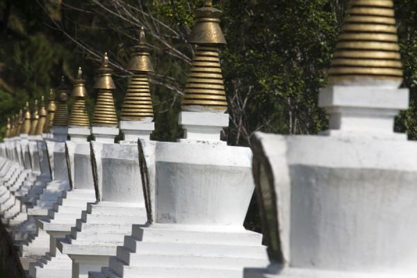 Row of small chortens near Khamsum Yuelley Namgyal Chorten | Khamsum Yuelley Namgyal Chorten | Bhutan