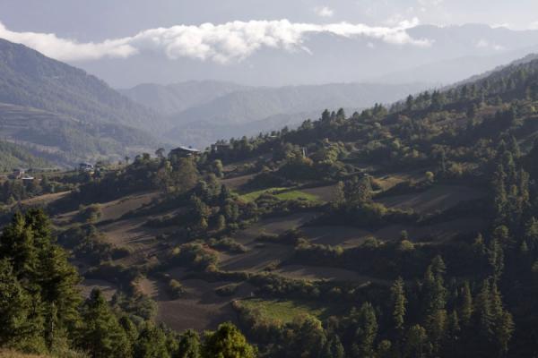 Foto di View from KunzangdrakKunzangdrak - Bhutan