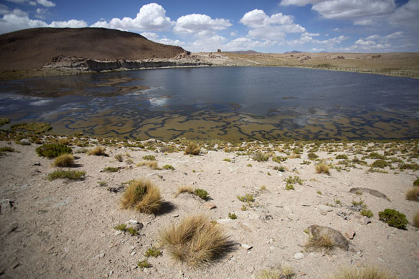 Foto van Laguna Turquín with rock formationsEduardo Avaroa Reserve - Bolivia