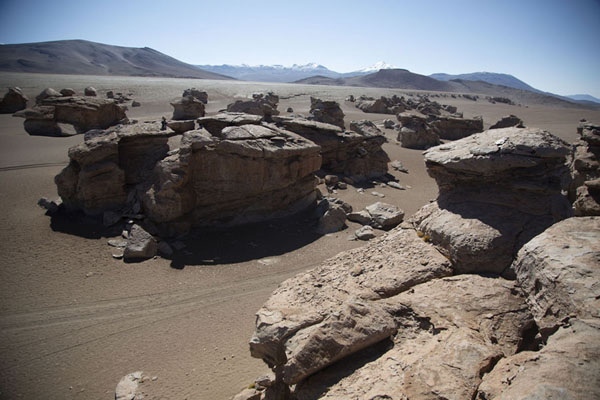 Foto de The rock formations and the dry mountainous landscape of southwest BoliviaBosque de piedras de Eduardo Avaroa - Bolivia