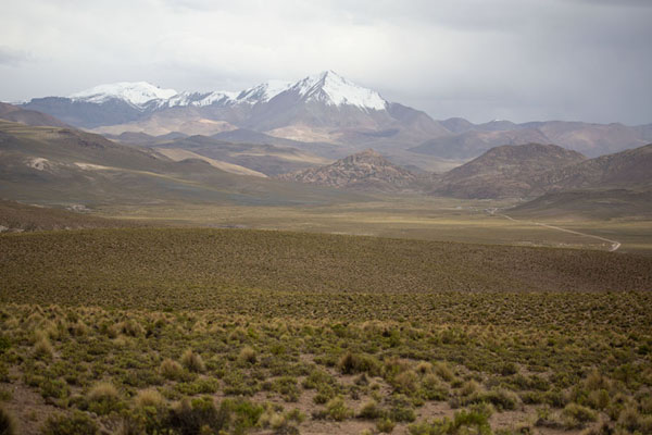Picture of Southwest Bolivia landscapes (Bolivia): Plain with vegetation and snow-capped mountains