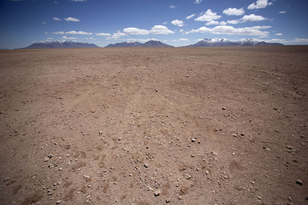 Picture of The altiplano of southwest Bolivia with mountains in the distance