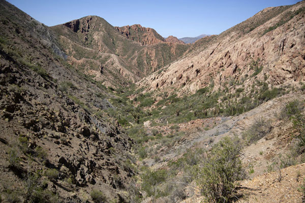 Picture of Panoramic view of the small canyon from the highest point