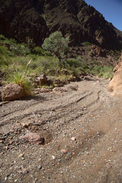 Photo de Open section of the small canyonTupiza - la Bolivie