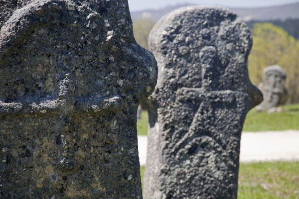 Foto di Carved decorations on medieval tombstones, or stećci, near Rostovo - Bosnia ed Erzegovina - Europa