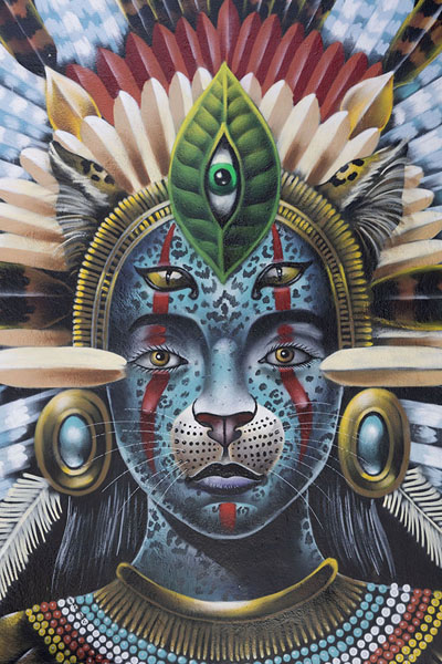 Picture of Psychedelic painting of a half human-half animal face in Beco do BatmanSão Paulo - Brazil