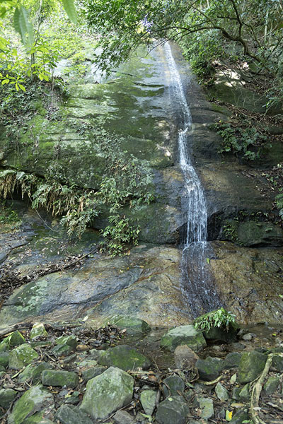 Foto van One of the small waterfalls on the way up to CorcovadoRio de Janeiro - Brazilië