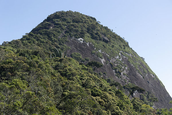 View of Pico da Tijuca from Pico da Tijuca Mirim | Pico da Tijuca | le Brésil