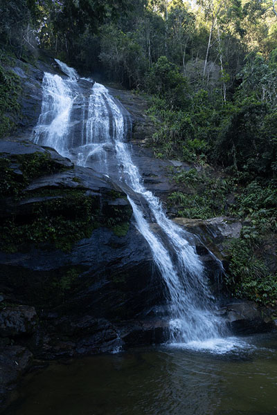 Foto van Waterfall in the Tijuca ForestRio de Janeiro - Brazilië