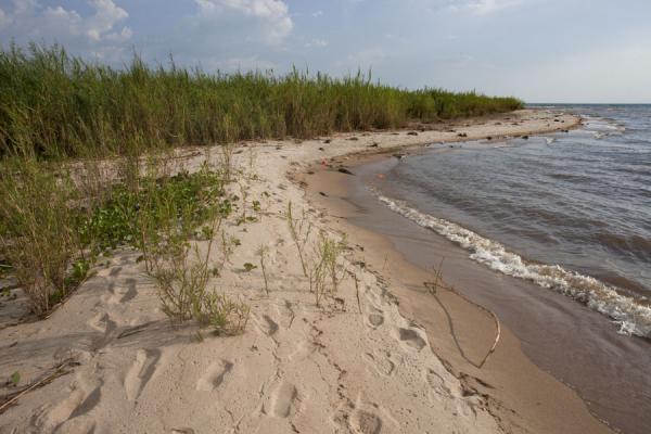Picture of Sandy beach of Lake Tanganyika