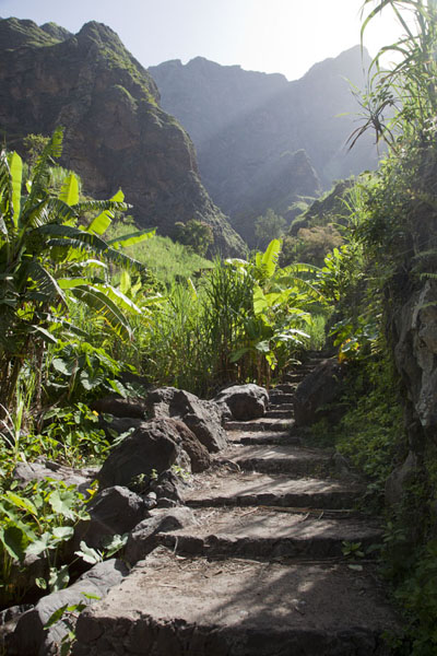 Photo de Path leading through Agriões village in Chã de Pedra - Cap-Vert - Afrique
