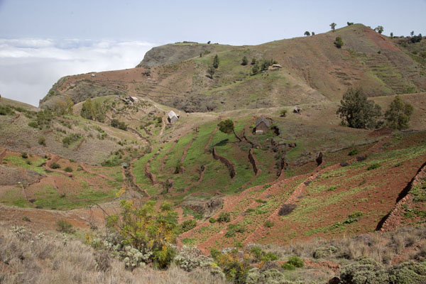 Foto de The terraced landscape near Lin d'CorvCoculi to Rabo Curto hike - Cabo Verde