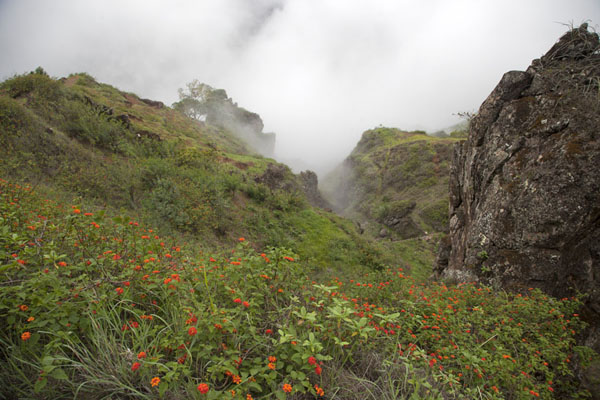 Foto di Clouds clinging to the cliffs above Ribeira da PenedaCova - Capo Verde