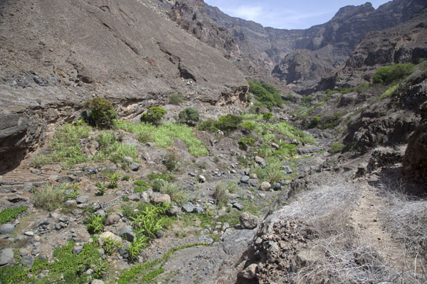 Foto de The valley east of Tarrafal, a green oasis - Cabo Verde - Africa