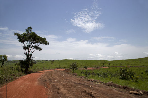 Foto van The Ring Road between Wum and NkambeBamenda - Kameroen