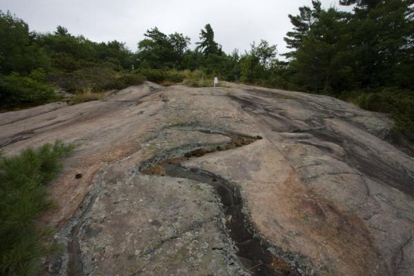 Deep grooves in the rocky soil of Beausoleil Island | Ile Beausoleil | le Canada