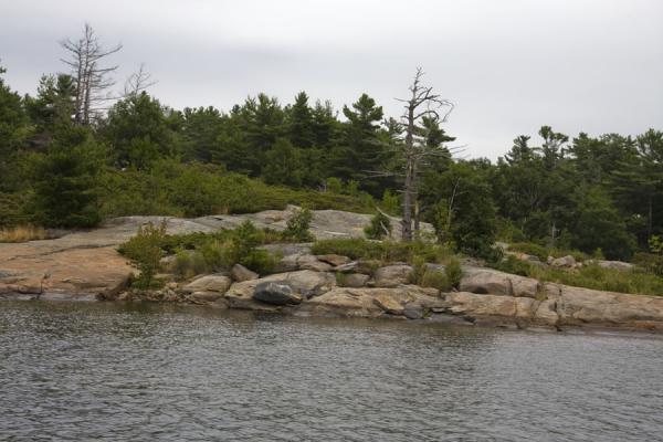 Foto van Trees and rocks on the northern shore of Beausoleil Island - Canada - Amerika