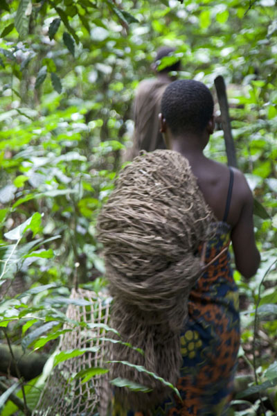 Picture of BaAka pygmies in the rainforest during the net hunt